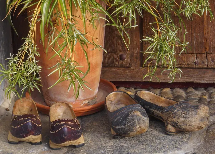 Hotel Casona De El Castaniu 3*