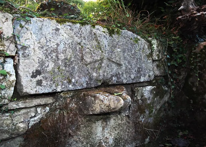 Hotel Casona De El Castaniu
